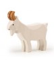 Bouc blanc debout