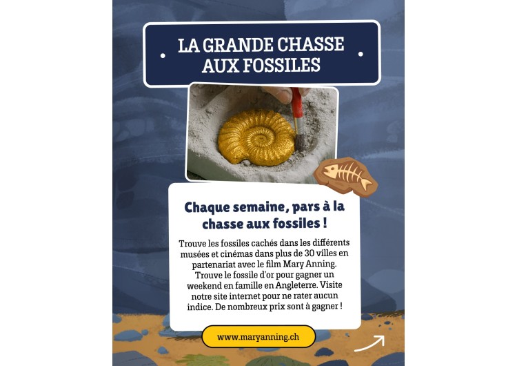 Des fossiles sont cachés dans notre boutique… sauras-tu tous les retrouver ? Des surprises t’attendent…